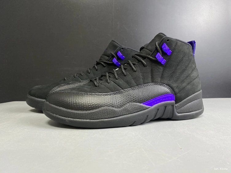 12  Jordan CT8013-005 “Dark Air Concord” 0227